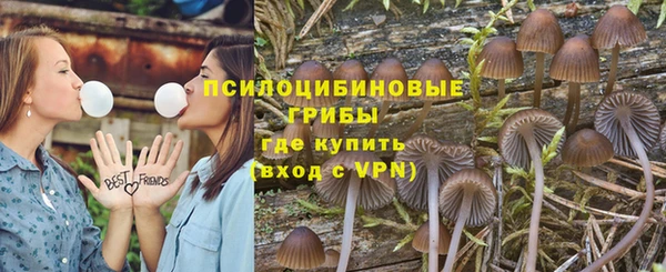 первитин Белокуриха