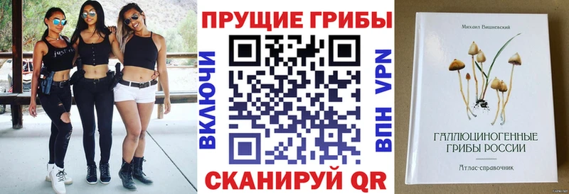 Галлюциногенные грибы Psilocybine cubensis  как найти закладки  нарко площадка Telegram  Нижний Ломов 